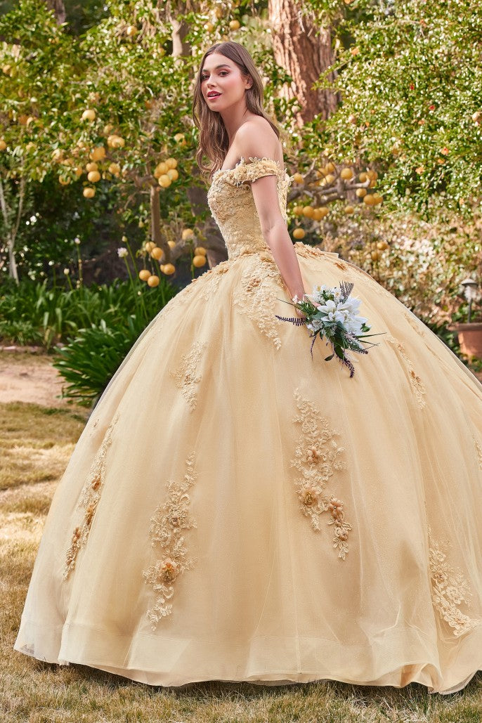CINDERELLA DIVINE 15702 – LAYALI BOUTIQUE